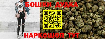 таблы Новозыбков