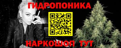 таблы Новозыбков