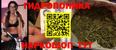 таблы Новозыбков