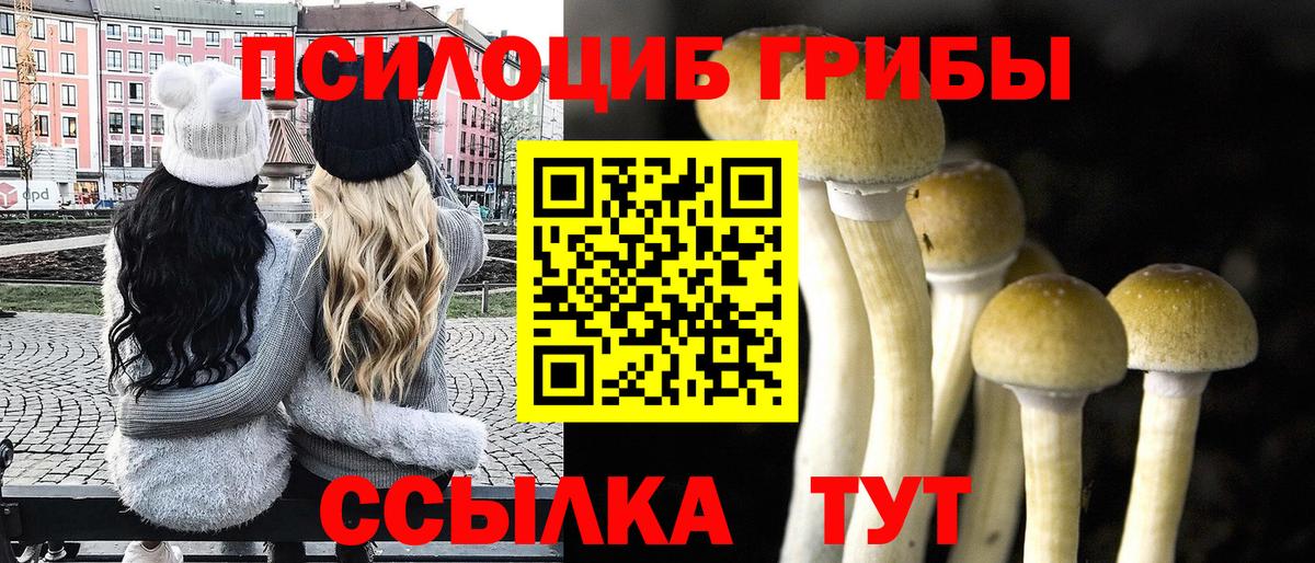 Псилоцибиновые грибы Psilocybine cubensis  Галлюциногенные грибы мицелий  Туапсе  Вход с VPN 