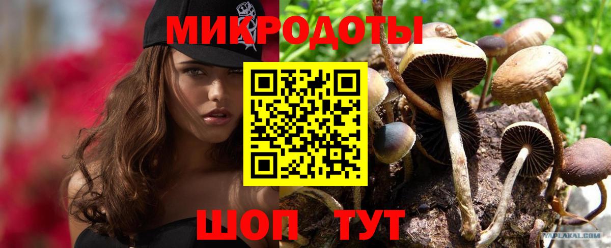 Псилоцибиновые грибы Cubensis Туапсе